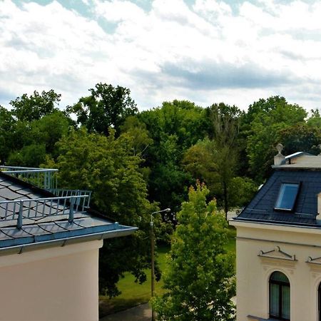 Zentral Gelegene Wohnung Nahe Schwanenteich Zwickau Luaran gambar