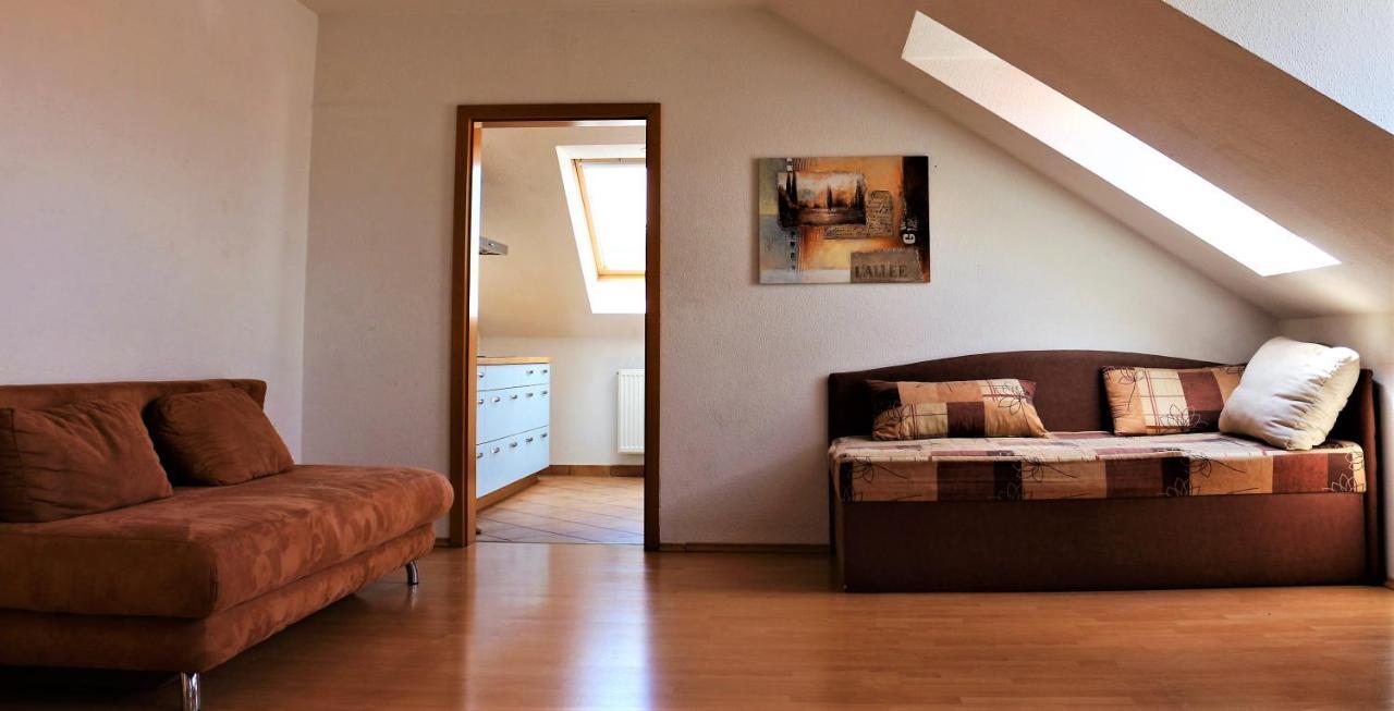 Zentral Gelegene Wohnung Nahe Schwanenteich Zwickau Luaran gambar